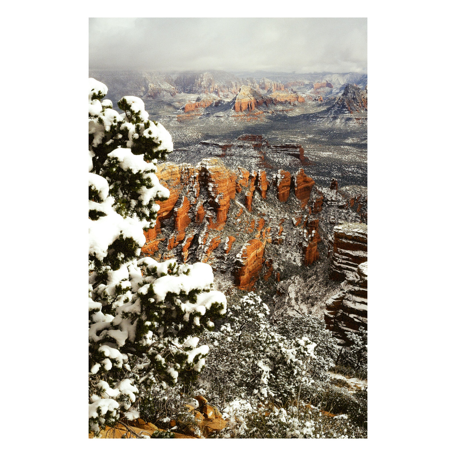 Kodak Ektachrome フィルムセット 10本 Kodakカラーリバーサルフィルム